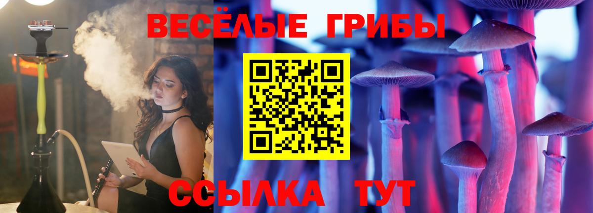 Краснознаменск  Псилоцибиновые грибы мицелий  Вход с VPN 